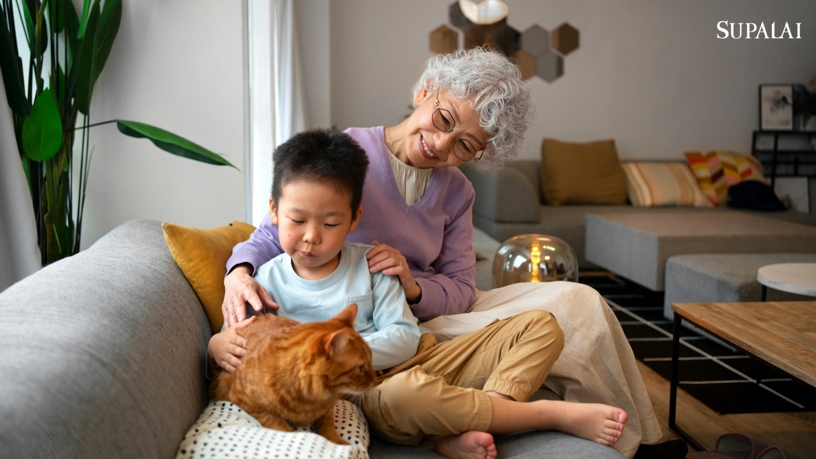 การโอนบ้านเป็นมรดก ศุภาลัยสรุป 8 ขั้นตอน และเอกสารที่ต้องรู้-05.jpg